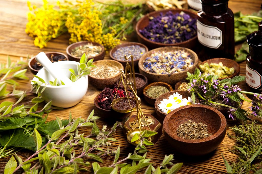 8 Essential Wellness Herbs for Better Mental Health