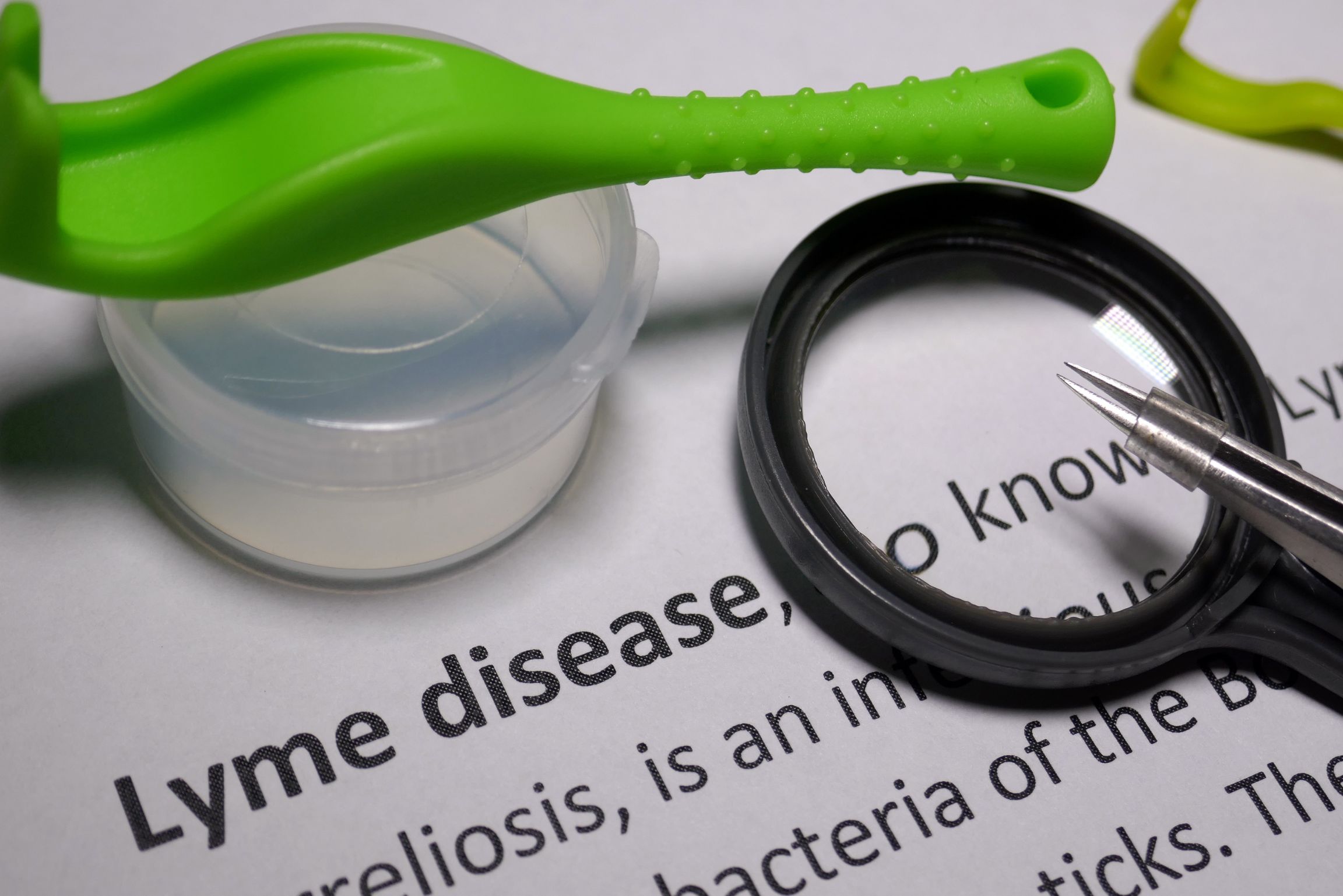 Lyme Disease Cases Research-Driven Advances in Prevention and Treatment Dr. Roseann Capanna - Hodge