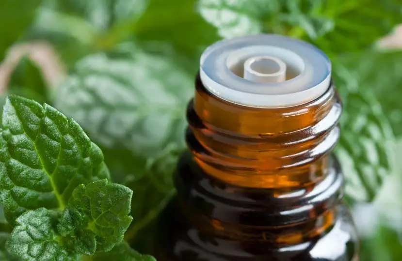 Essential Oils for Attention