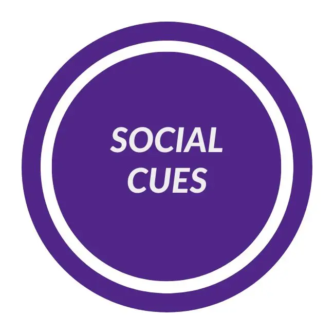 A guide on supporting brain regulation in dysregulated children, represented by a purple circle showcasing the term "social cues".