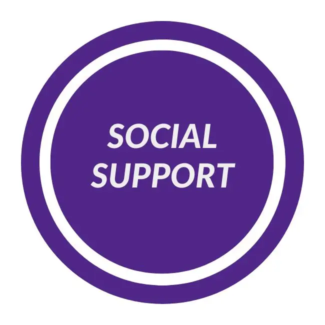 A purple circle promoting social support for dysregulated kids.