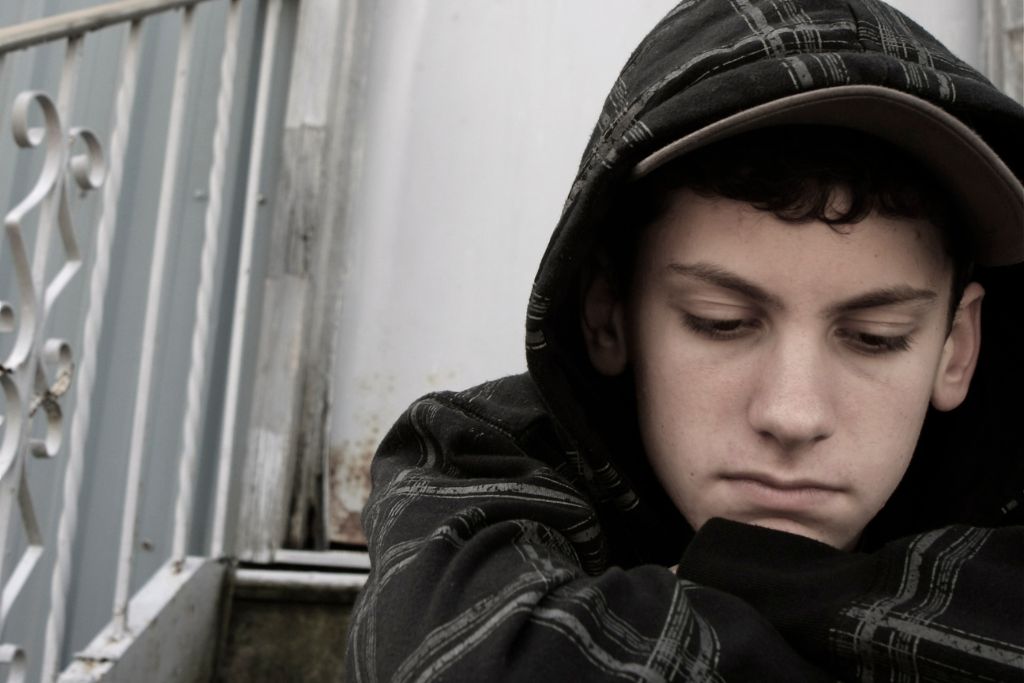 The Brain and Mental Health: Rethinking Clinical Issues as Dysregulation of the Nervous System