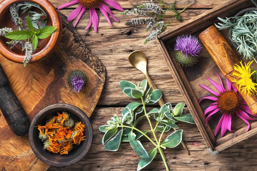 5 Proven Herbs for Mental Health Every Parent Should Know