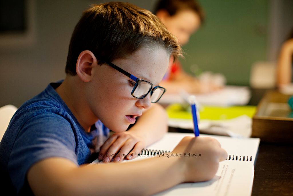 Neurodevelopmental Factors in Dysregulation