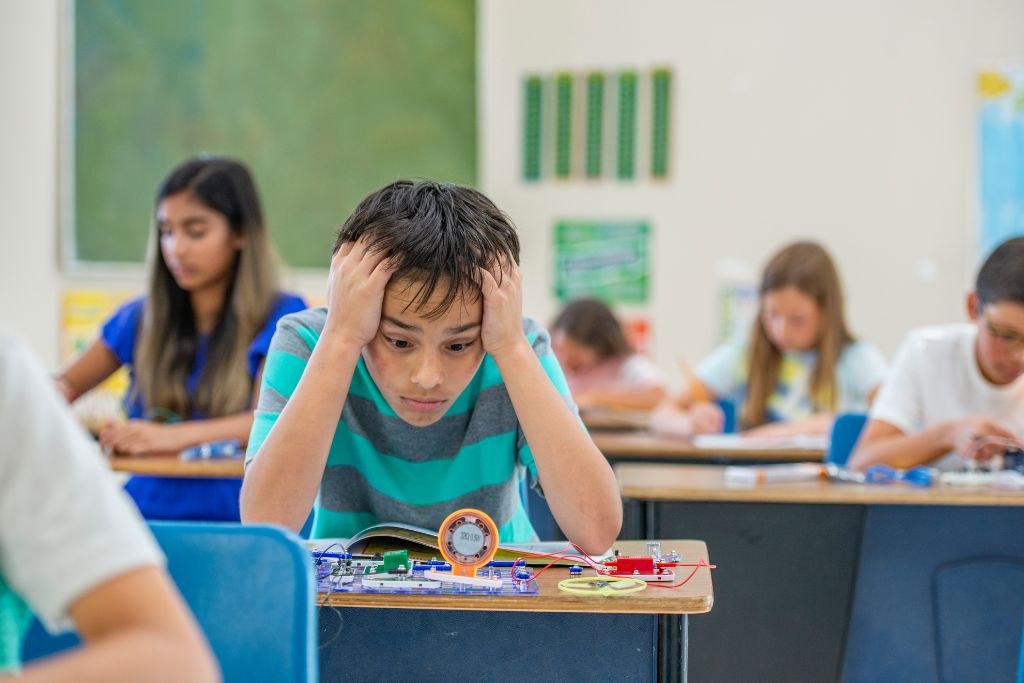 The Role of Stress in Dysregulation