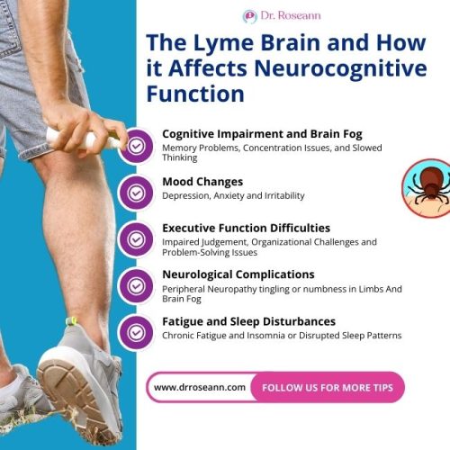The Lyme Brain and How it Affects Neurocognitive Function