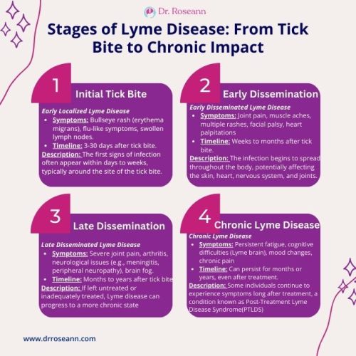Stages of Lyme Disease