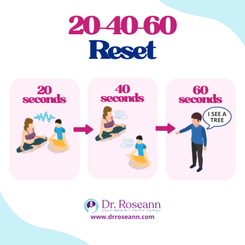 Infographic illustrating the 20-40-60 Reset method, showing three steps of progressive calm (20 seconds of intense feeling, 40 seconds of breathing, 60 seconds of naming objects) as a practical guide on how to calm the limbic system.