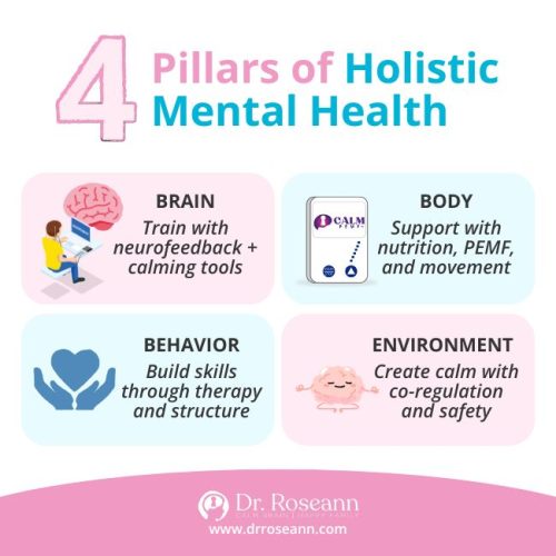 An infographic illustrating the four pillars of a holistic approach to mental health: Brain, Body, Behavior, and Environment, with examples for each.