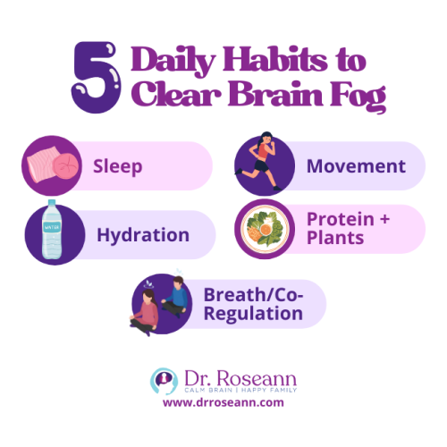 Infographic listing 5 daily habits to clear brain fog: Sleep, Movement, Hydration, Protein + Plants, and Breath/Co-Regulation.