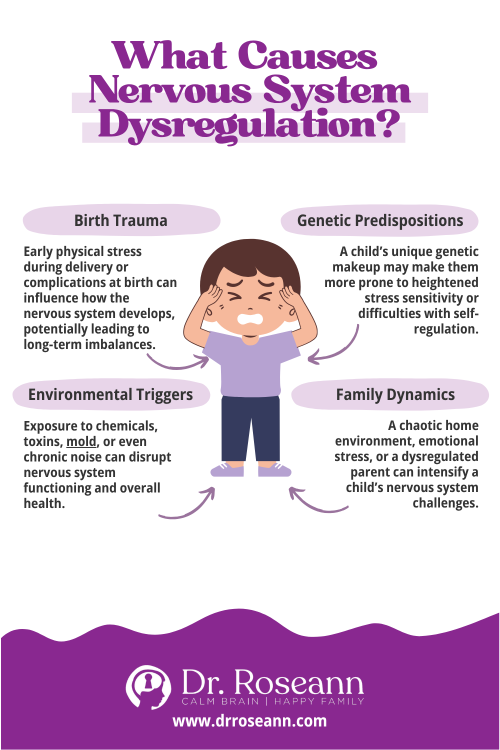Infographic explaining causes of nervous system dysregulation in children, including birth trauma, genetic predispositions, environmental triggers, and family dynamics. Created by Dr. Roseann