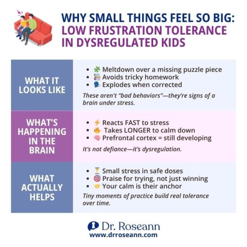 Infographic explaining psychological factors of dysregulation in kids with low frustration tolerance, showing behaviors like meltdowns, stress reactions in the brain, and strategies that help build emotional regulation.