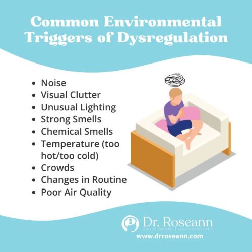 Infographic showing common environmental causes of dysregulation, including noise, visual clutter, unusual lighting, strong smells, chemical smells, extreme temperatures, crowds, changes in routine, and poor air quality.
