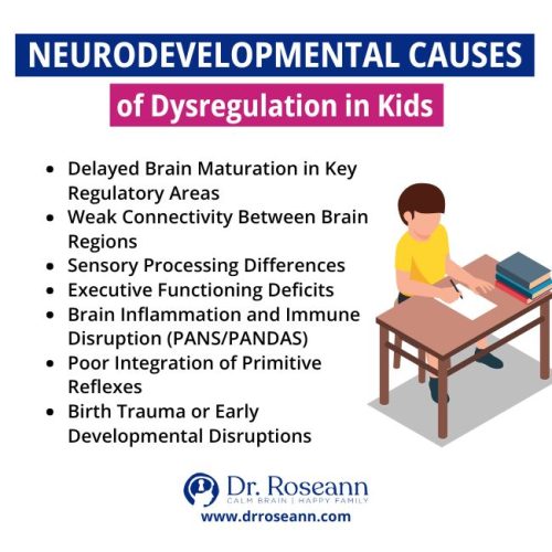 Infographic explaining neurodevelopmental factors in dysregulation in kids, including delayed brain maturation, weak connectivity, sensory processing differences, executive functioning deficits, brain inflammation, poor reflex integration, and early developmental disruptions.