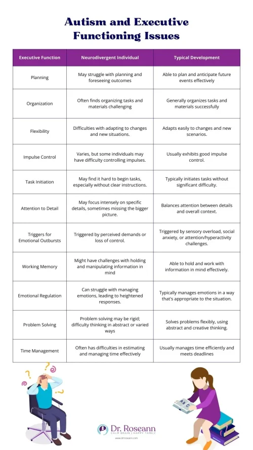 Autism and Executive Functioning Issues
