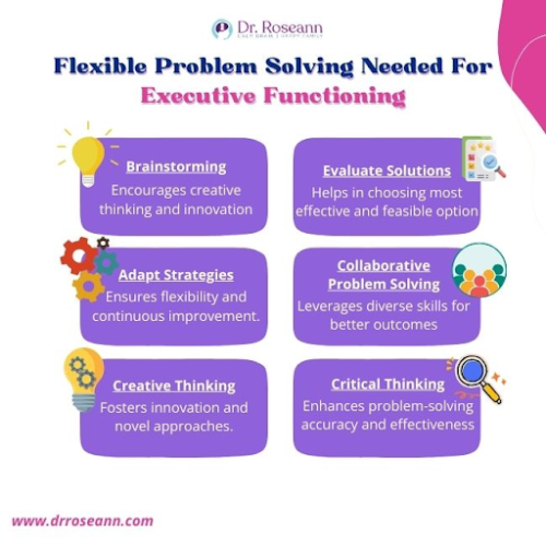 Flexible Problem Solving Skills needed for executive functioning