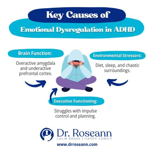Infographic illustrating the three key causes of emotional dysregulation in ADHD: Brain Function (overactive amygdala, underactive prefrontal cortex), Environmental Stressors (diet, sleep, chaotic surroundings), and Executive Functioning (struggles with impulse control and planning).