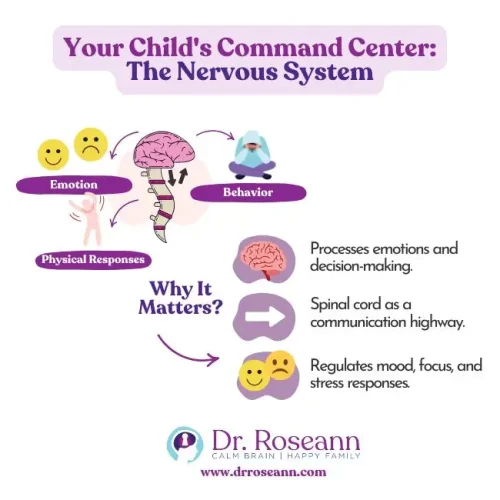 Infographic explaining the nervous system's role in emotions, behavior, and stress regulation in children.