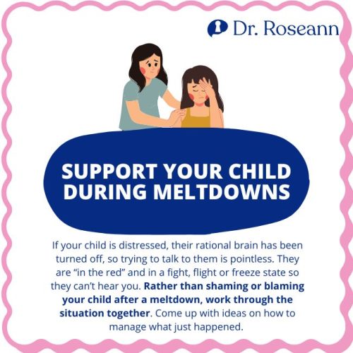 Illustration with text saying it's best to work through a stressful situation rather than shaming or blaming your child during a meltdown if you want them to develop emotional regulation skills