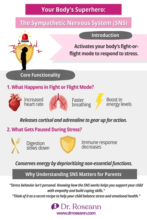 Infographic explaining the sympathetic nervous system's fight-or-flight response, its effects on the body, and why understanding it helps manage stress.