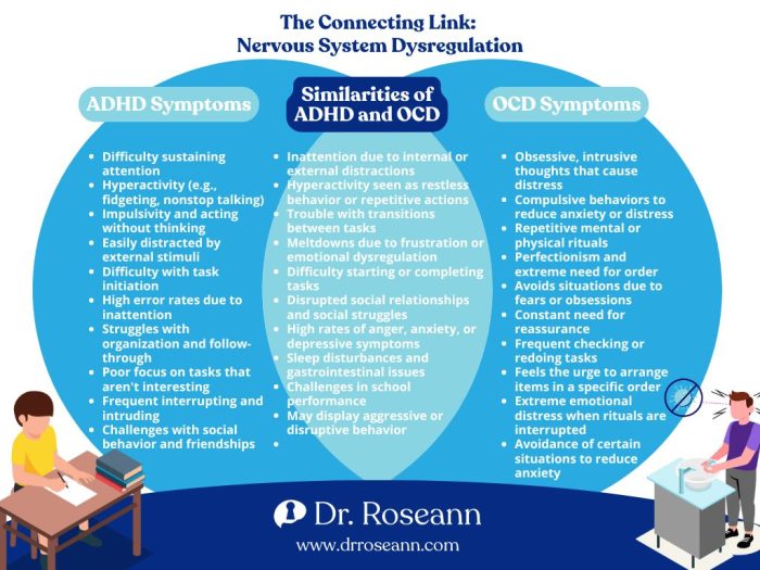 The Connecting Link Nervous System Dysregulation