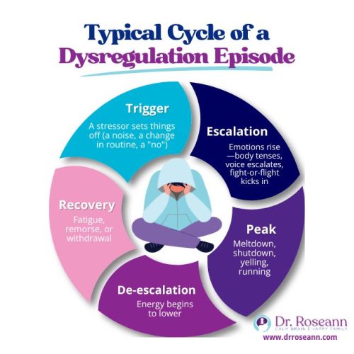 Typical Cycle of a Dysregulation Episode