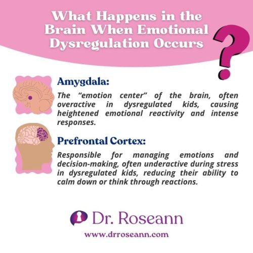 Illustration explaining how emotional dysregulation affects the brain, highlighting the roles of the amygdala and prefrontal cortex.