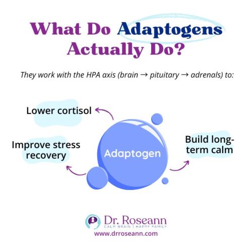 How adaptogenic herbs for stress lower cortisol and improve calm