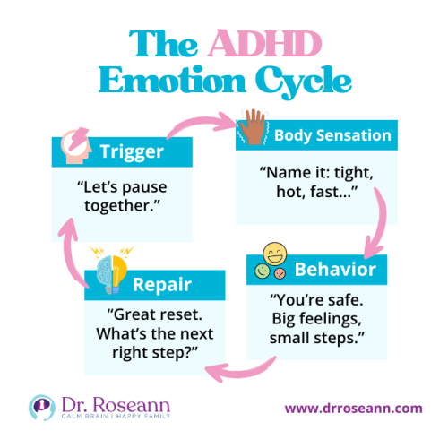 Infographic illustrating The ADHD Emotion Cycle: Trigger, Body Sensation, Behavior, and Repair, offering prompts to help manage emotions in ADHD.
