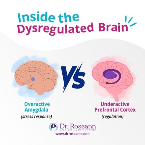 Comparison of amygdala and prefrontal cortex activity affecting age appropriate behavior.