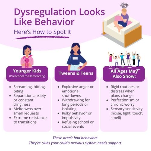 Infographic illustrating behavioral signs of a dysregulated nervous system in younger kids, tweens & teens, and all ages, including screaming, meltdowns, explosive anger, withdrawal, and sensory sensitivity.