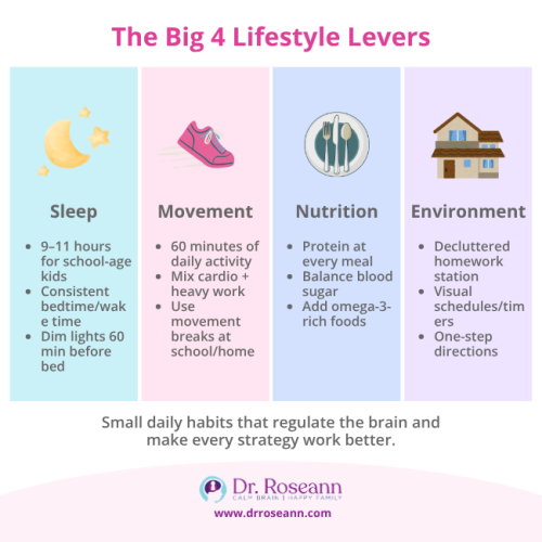 Infographic outlining the Big 4 Lifestyle Levers—Sleep, Movement, Nutrition, and Environment—as a foundational part of an effective ADHD treatment plan.