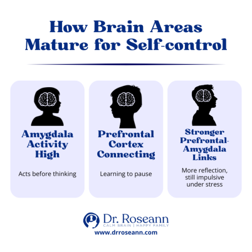 Infographic showing how brain areas mature for self control in children, moving from high Amygdala activity (acting before thinking) to stronger Prefrontal-Amygdala links (learning to pause and reflect).