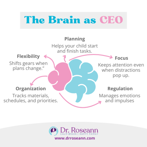 An infographic titled "The Brain as CEO," illustrating key executive functions: Planning, Focus, Regulation, Organization, and Flexibility. It visually represents the areas impacted by executive functioning challenges.