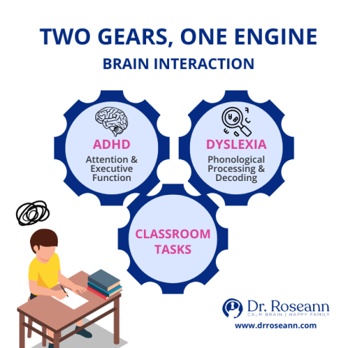 Infographic showing three interconnected gears: ADHD (Attention & Executive Function), Dyslexia (Phonological Processing & Decoding), and Classroom Tasks, illustrating the link between ADHD and Dyslexia