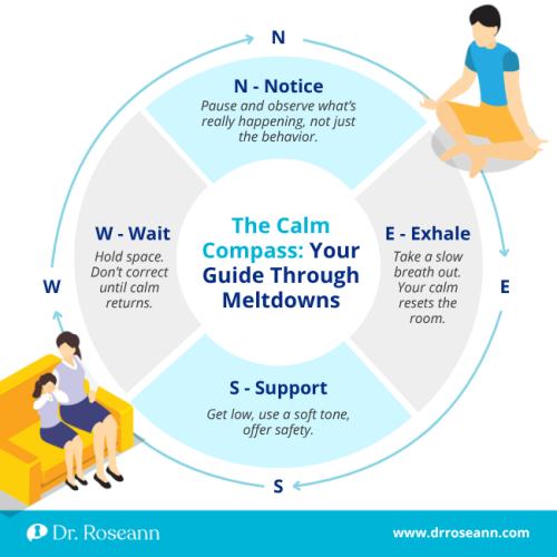 Infographic showing "The Calm Compass" (N-E-S-W: Notice, Exhale, Support, Wait), a parental guide for managing meltdowns and teaching self control in children.