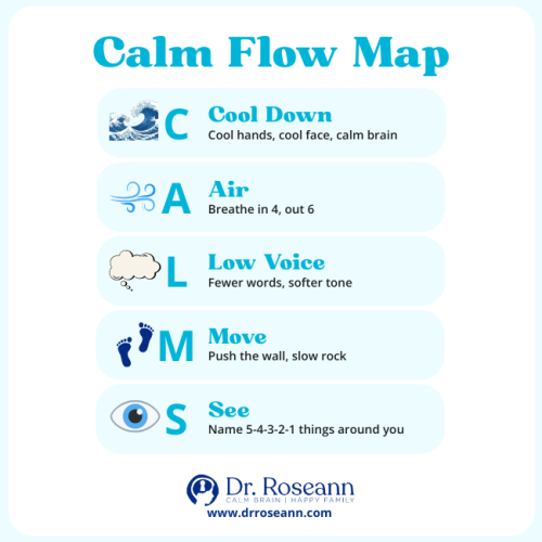 Infographic listing the 5 steps of the CALM Flow Map (Cool Down, Air, Low Voice, Move, See 5-4-3-2-1), a practical, sensory-based guide to reset the nervous system.