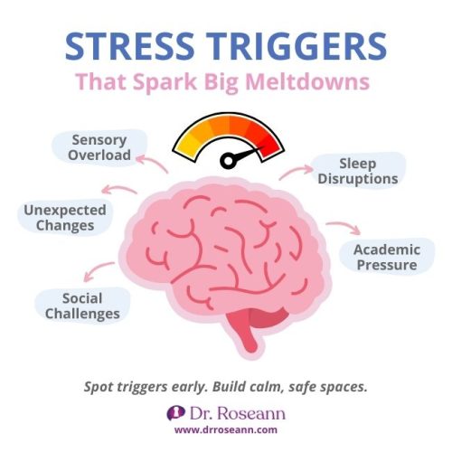 An illustration showing how stress triggers like sensory overload, sleep disruptions, academic pressure, social challenges, and unexpected changes can lead to a dysregulated nervous system and cause meltdowns.