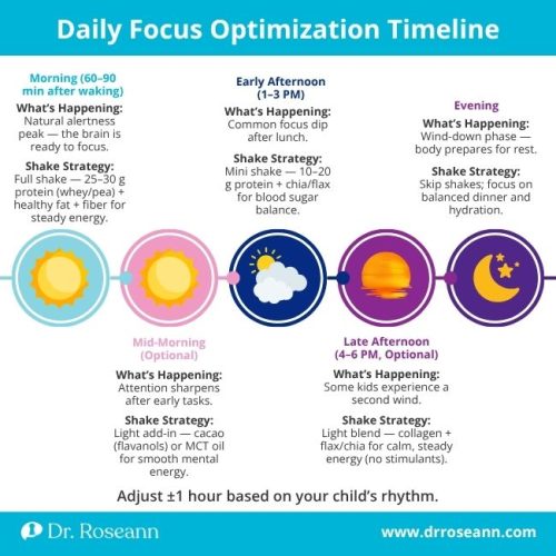 Infographic showing a Daily Focus Optimization Timeline with shake strategies for morning, mid-morning, early afternoon, late afternoon, and evening, suggesting adhd protein shakes and natural adhd supplements for adults.