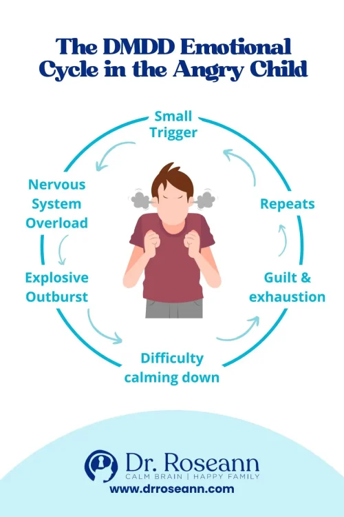 Emotional cycle of Disruptive Mood Dysregulation Disorder in children
