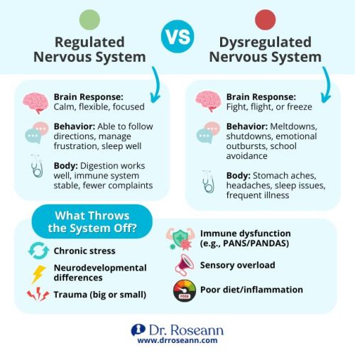 Infographic comparing regulated and dysregulated nervous systems, highlighting physical symptoms of dysregulated nervous system like stomach aches, headaches, and frequent illness.