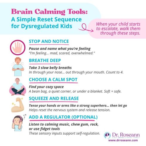 Infographic outlining brain calming tools for dysregulated kids, including steps to stop and notice feelings, breathe deeply, choose a calm spot, squeeze and release muscles, and use optional regulators like calming music or fidget tools.