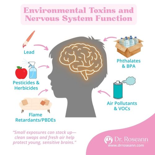 An illustration showing how environmental toxins and pollutants like lead, phthalates, BPA, air pollutants, VOCs, pesticides, herbicides, and flame retardants can affect a child's brain and nervous system, causing dysregulation.