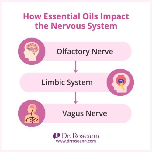 An infographic illustrating the path of essential oils for autism from the olfactory nerve to the limbic system and vagus nerve, explaining their impact on the nervous system.