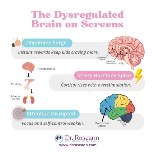 Infographic illustrating how screen time affects the brain, causing a dopamine surge, a stress hormone spike, and disrupted attention.