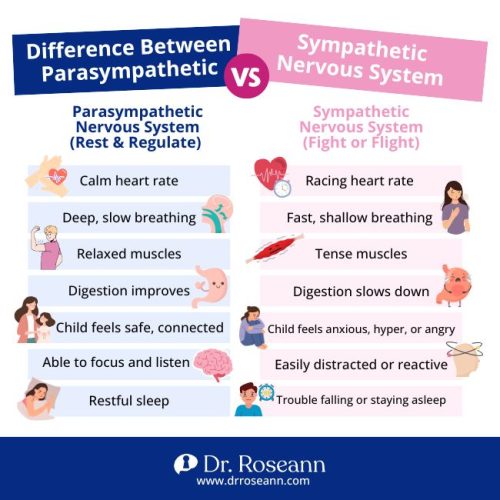 An infographic comparing the parasympathetic and sympathetic nervous systems, showing how to activate parasympathetic nervous system functions like calm heart rate, deep breathing, and restful sleep