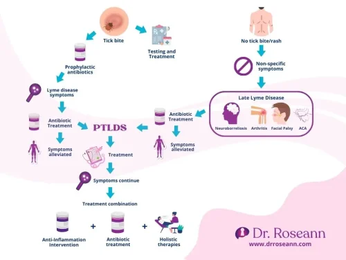 Flowchart showing Lyme Disease cases from tick bite to late-stage symptoms and treatment options.