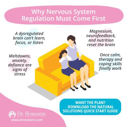 An infographic explaining how a holistic approach to mental health, including nervous system regulation, is key to managing meltdowns, anxiety, and defiance.