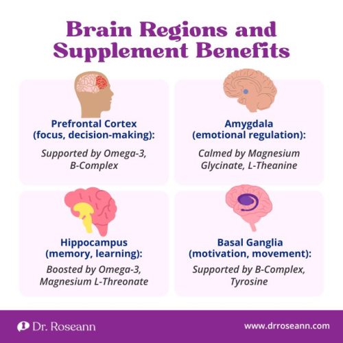 An infographic titled "Brain Regions and Supplement Benefits" shows four brain areas and the nervous system supplements that support them.