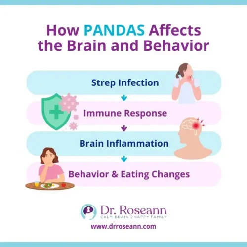 PANDAS eating disorder visual showing how strep leads to brain inflammation and behavior changes.